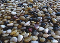 Rüyada Mıcır Taş Görmek Rüya Yorumu ve Anlamı