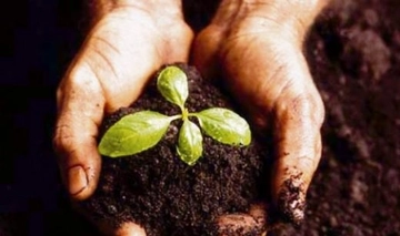 Rüyada Toprak Eşelemek Rüya Yorumu ve Anlamı