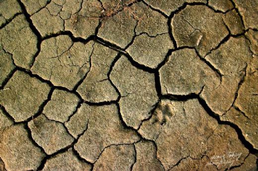 Rüyada Kuru Toprak Görmek Rüya Yorumu ve Anlamı