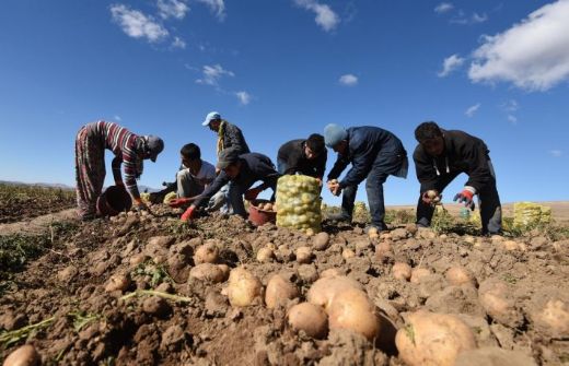 Rüyada Sürülmüş Toprak Görmek Rüya Yorumu ve Anlamı