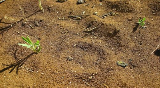 Rüyada Toprak Görmek Rüya Yorumu ve Anlamı